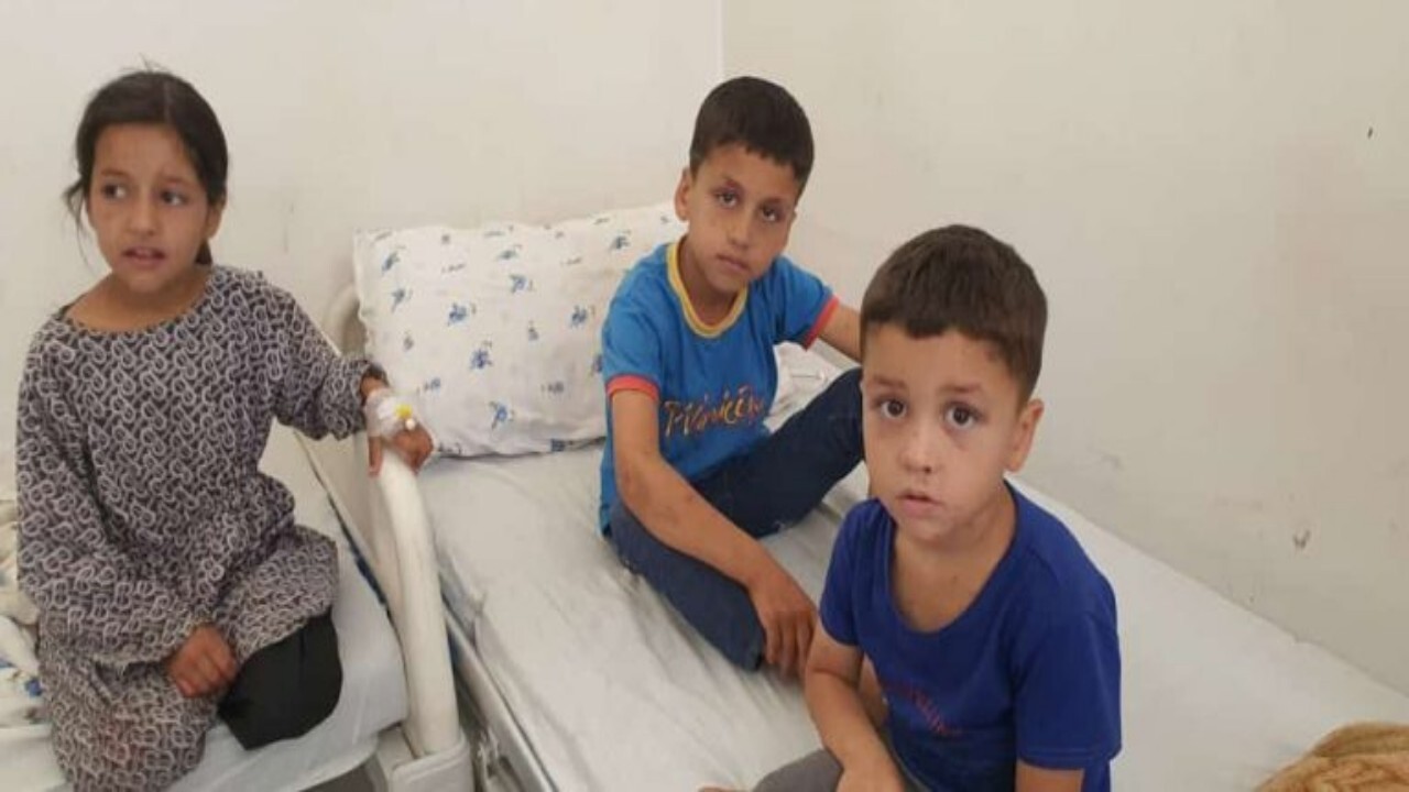 ۸۲ واقعه مثبت آبله مرغان در پنجشیر