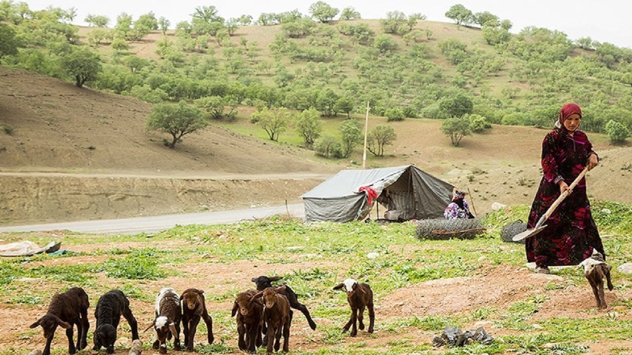 ۹۰ هزار هکتار از مراتع استان همدان در اختیار عشایر است