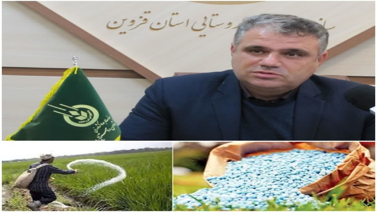 توزیع ۷ هزار و ۷۰۰ تن انواع کود‌های شیمیایی در استان قزوین