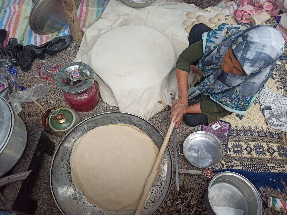آغاز جشنواره گل محمدی در لاله زار بردسیر