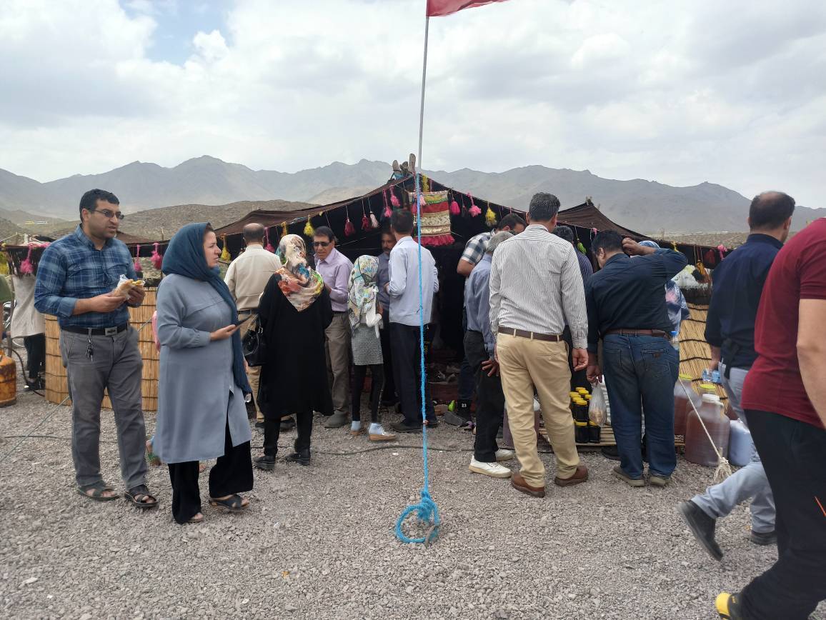 آغاز جشنواره گل محمدی در لاله زار بردسیر