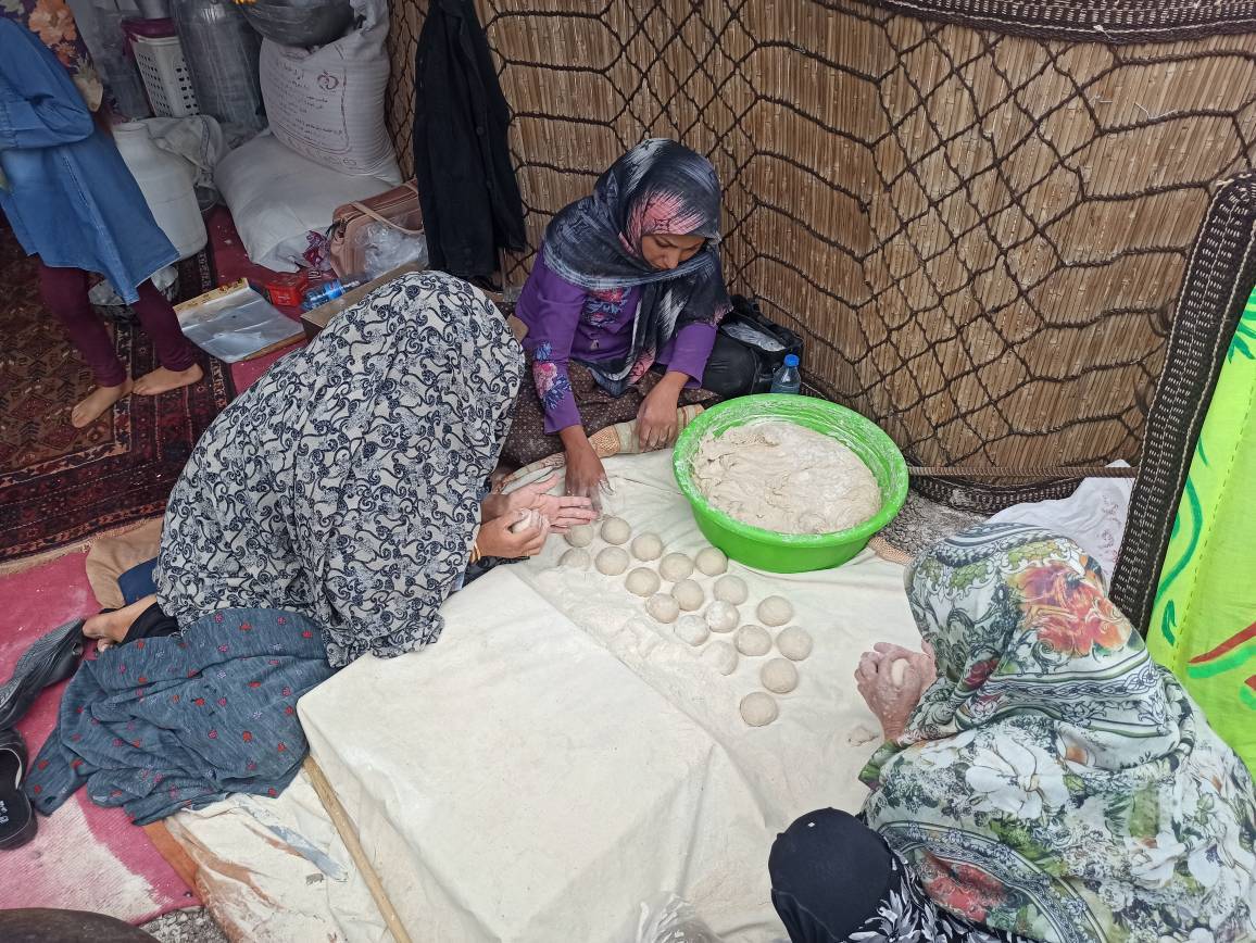 آغاز جشنواره گل محمدی در لاله زار بردسیر