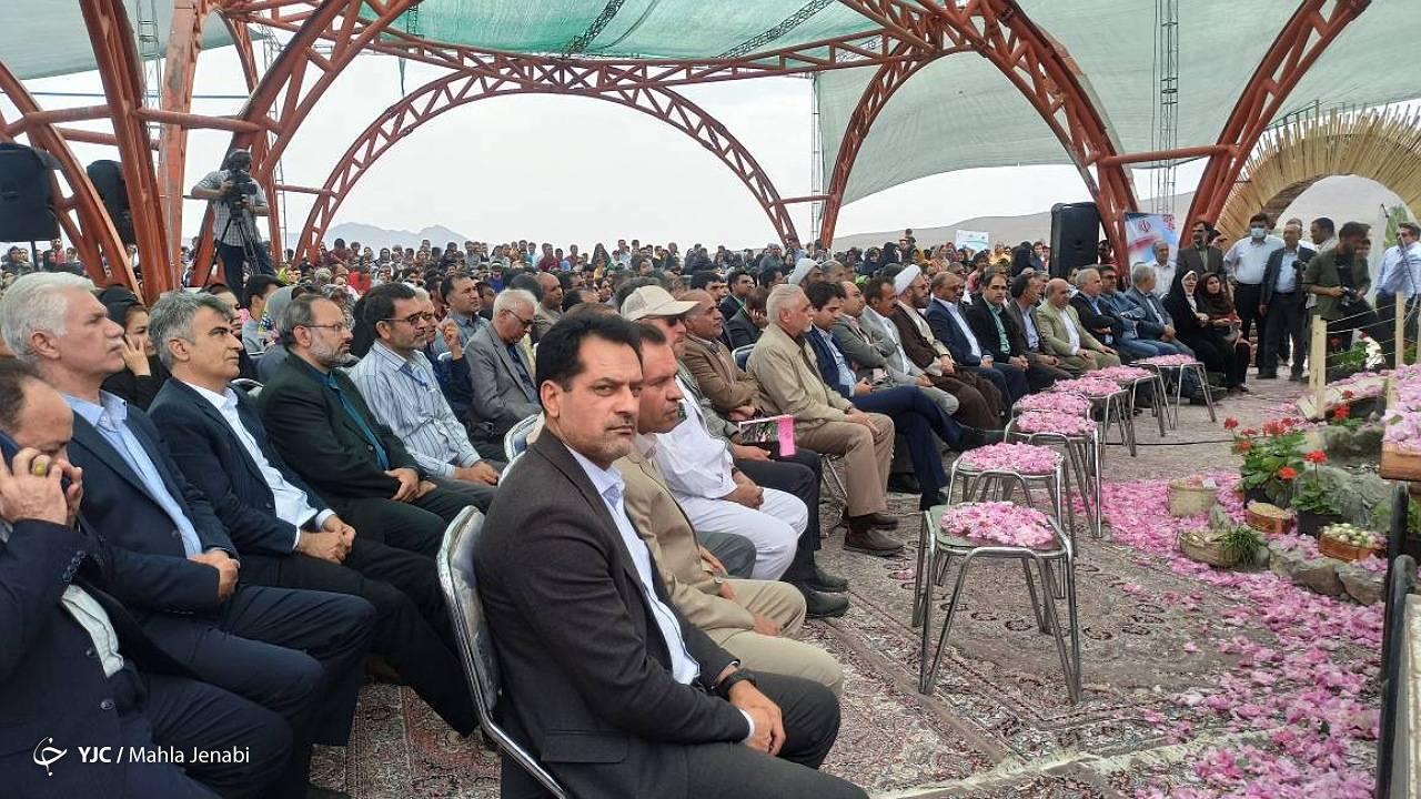 آغاز جشنواره گل محمدی در لاله زار بردسیر+ تصاویر