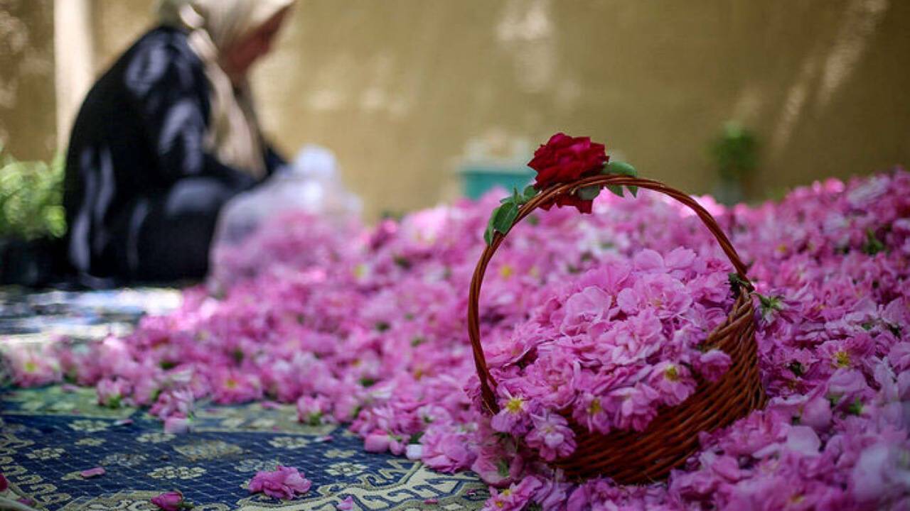 اسانس گل‌محمدی لاله‌زار به سراسر جهان صادر می‌شود