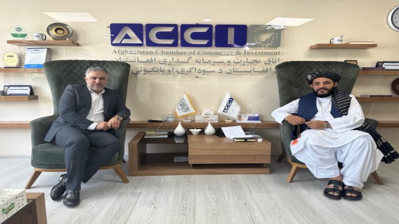 ایران و افغانستان تجارت ترجیحی برای برخی کالاها را بررسی کردند
