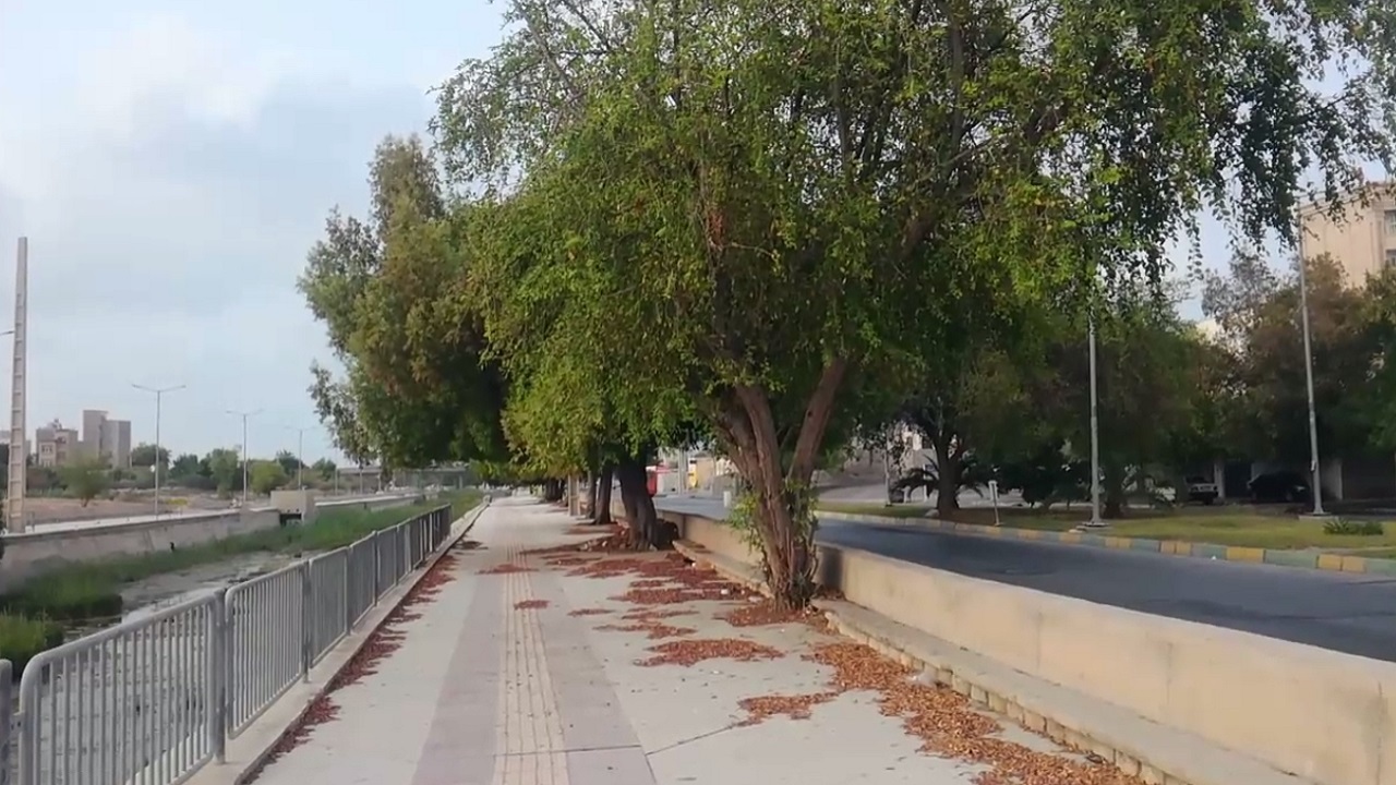 پاکسازی معابر محله خور نایبند درخواست شهروندان بندرعباسی شد