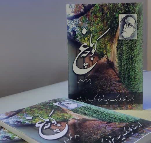 کتاب کوچه باغ