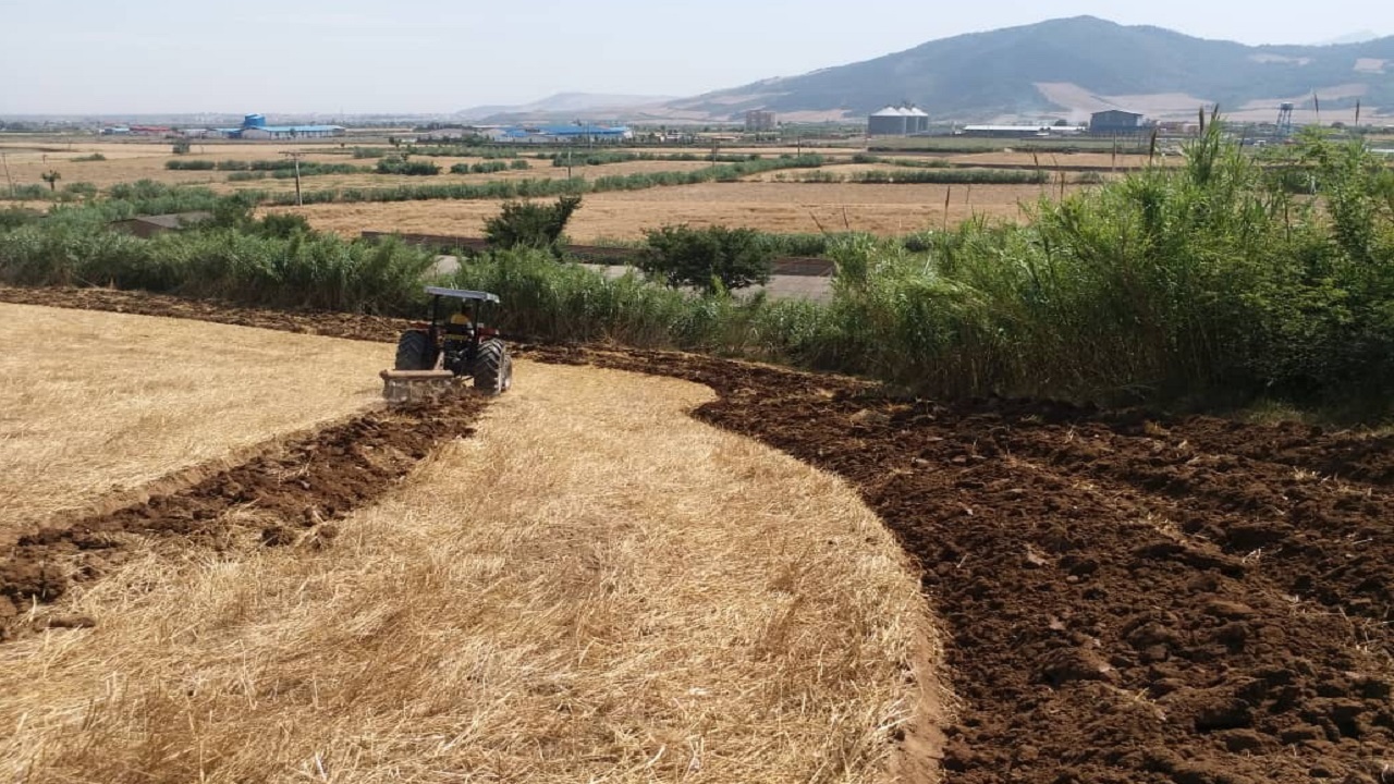 احداث ۷۹۷ کیلومتر آتش بر حدفاصل زمین کشاورزی و عرصه‌های ملی در گلستان