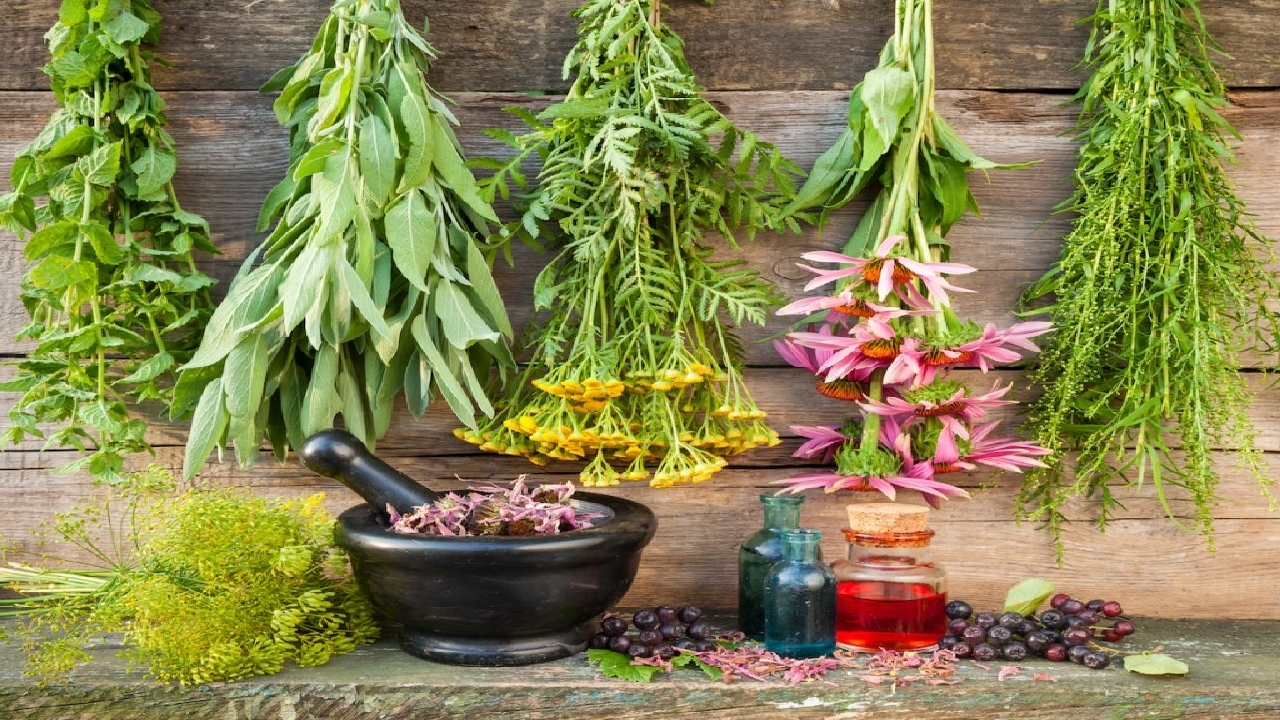 تاثیر گیاهان دارویی در جلوگیری از تعریق زیاد