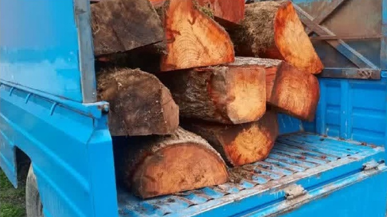 توقیف نیسان‌های حامل چوب قاچاق توسکا