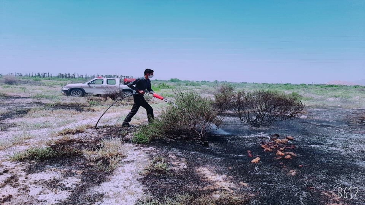 اقدامات منابع طبیعی هرمزگان برای پیشگیری از وقوع آتش سوزی در مراتع + فیلم