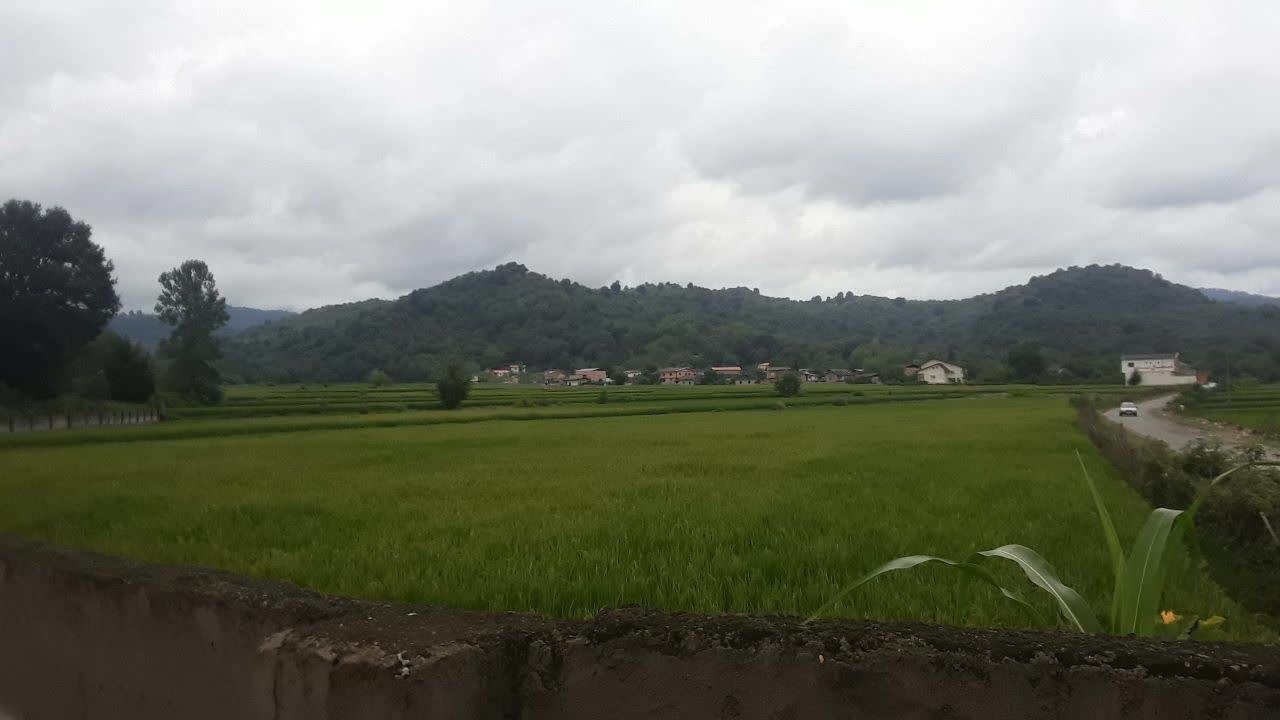 طبيعت سرسبز