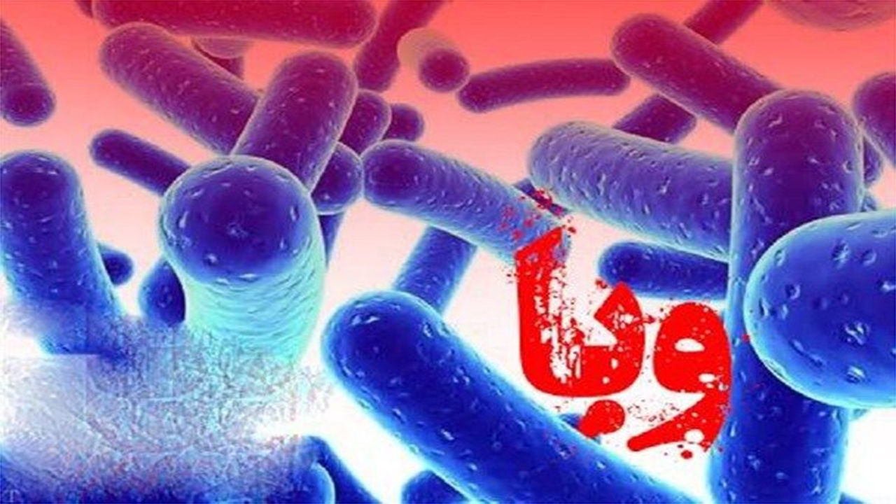 موردی از ابتلای وبا در استان فارس گزارش نشده است