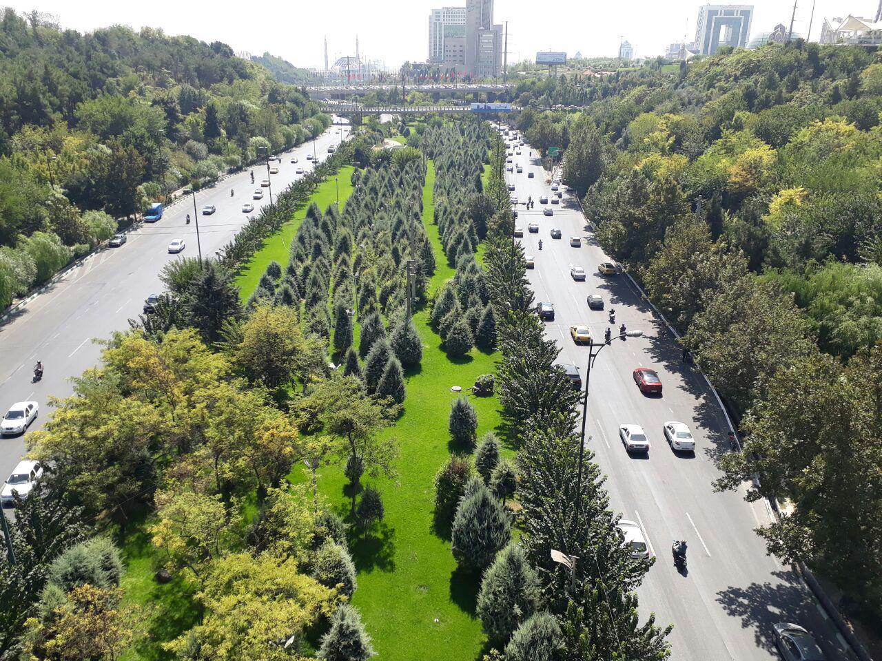 از کاشت گیاهان سازگار با کم‌آبی تا اجرای ٢٠٠٠ هکتار کمربندسبز تا پایان سال