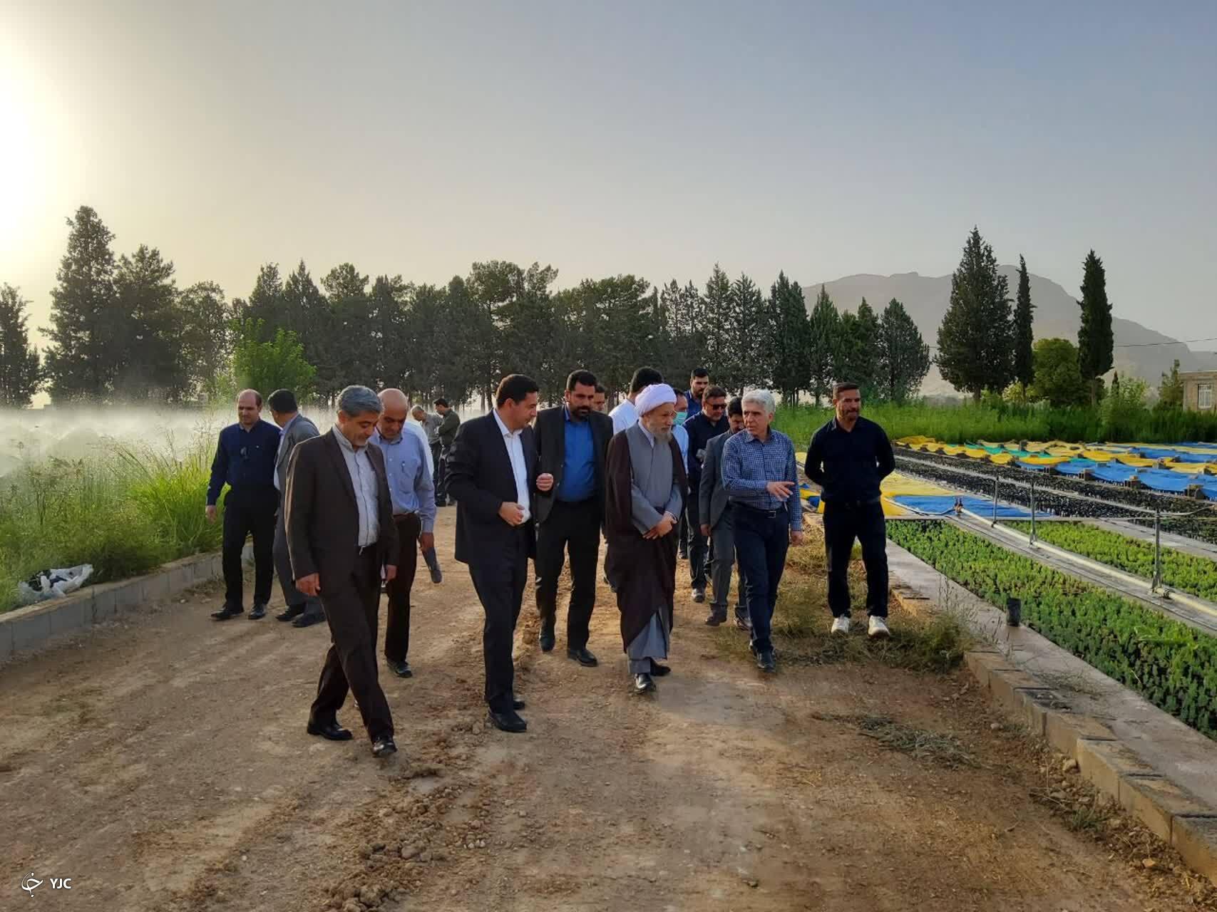 تشکل‌های بانوان در طرح ملی کاشت درخت مشارکت کنند