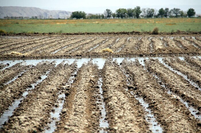 فرونشست زمین در کاشان، خطری که باید جدی گرفته شود