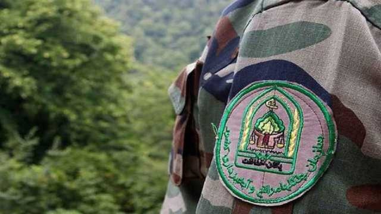 کمبود جنگلبان در همدان با جذب نیرو جبران می‌شود