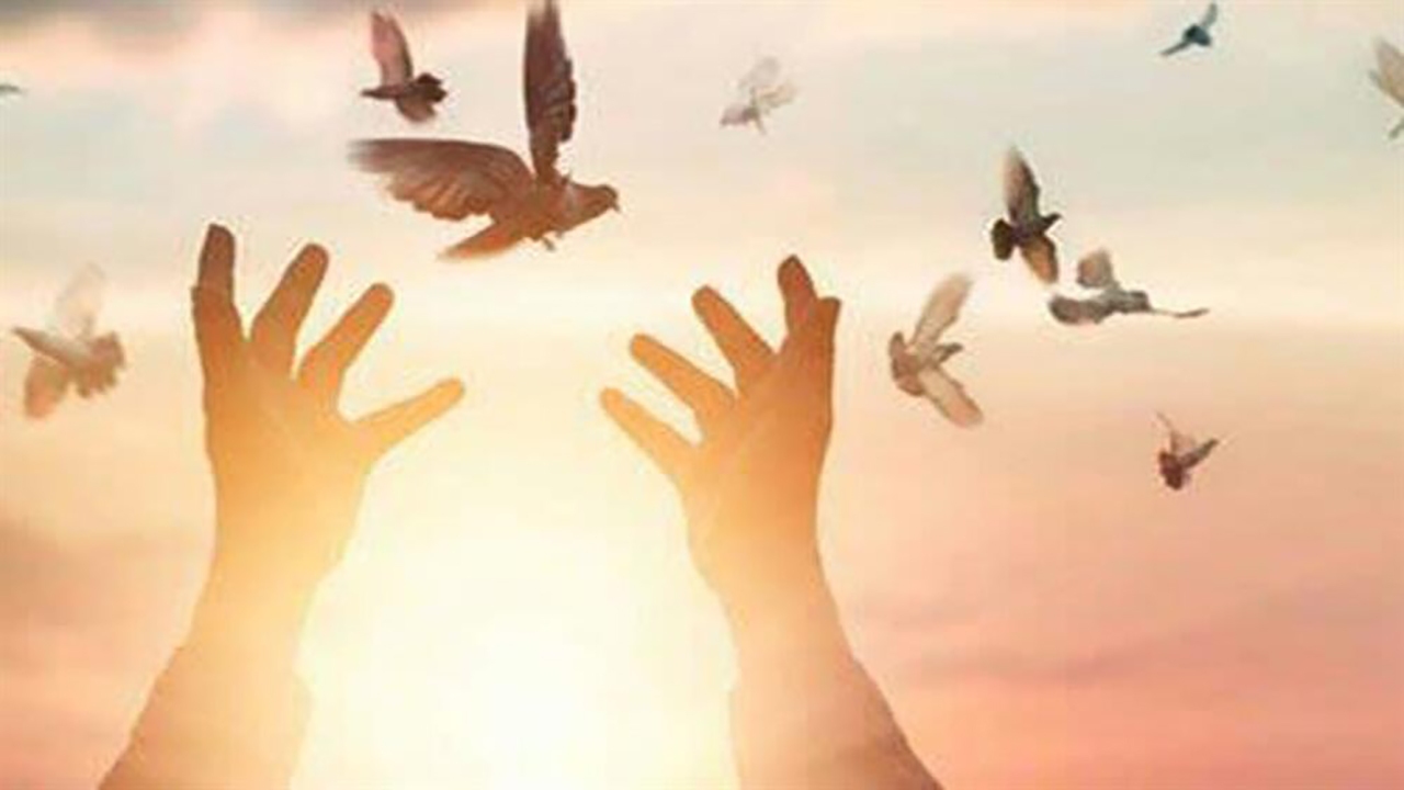 رهایی یک زندانی محکوم به قصاص در استان هرمزگان