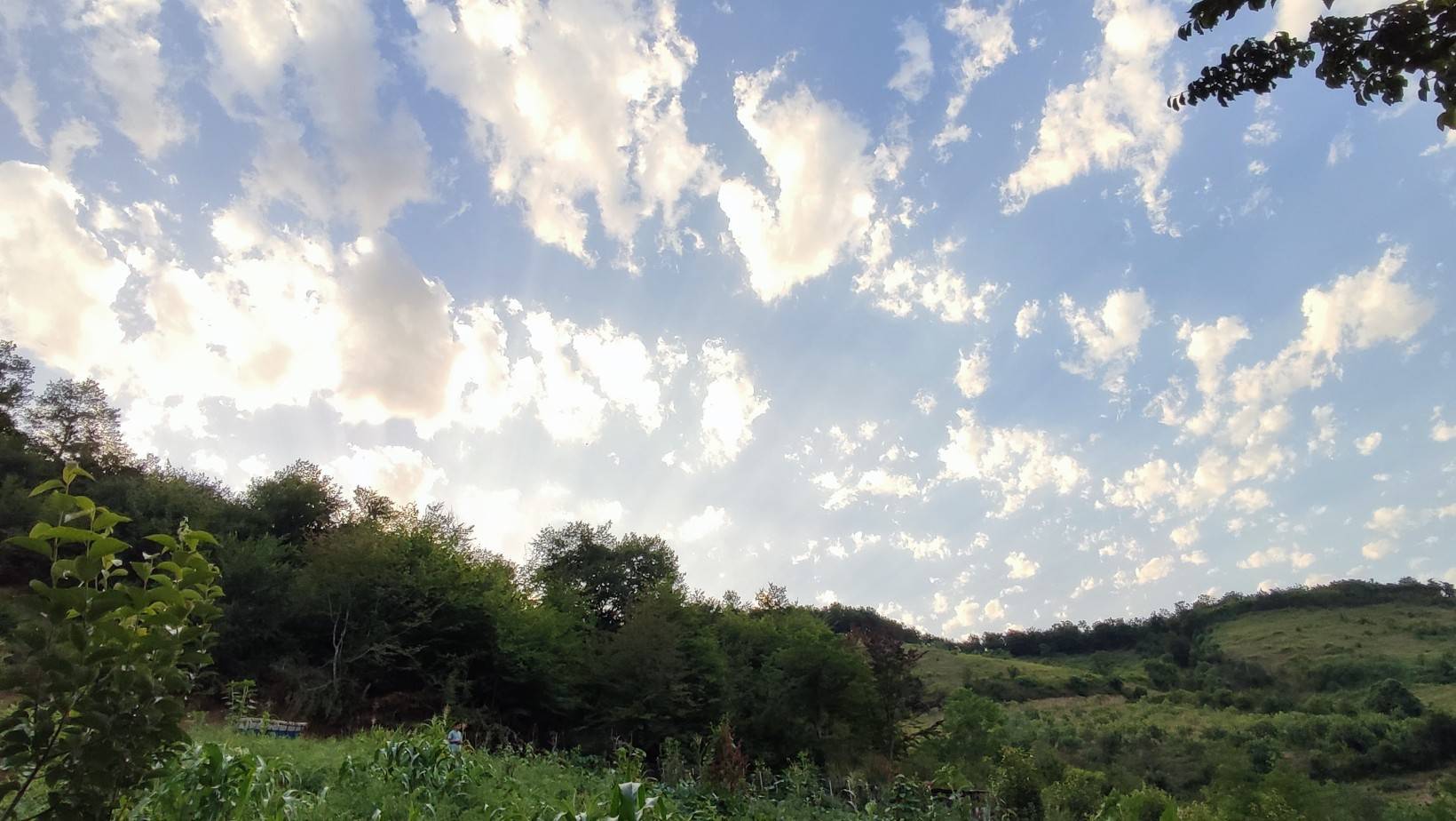 طبیعت روستای نظام محله