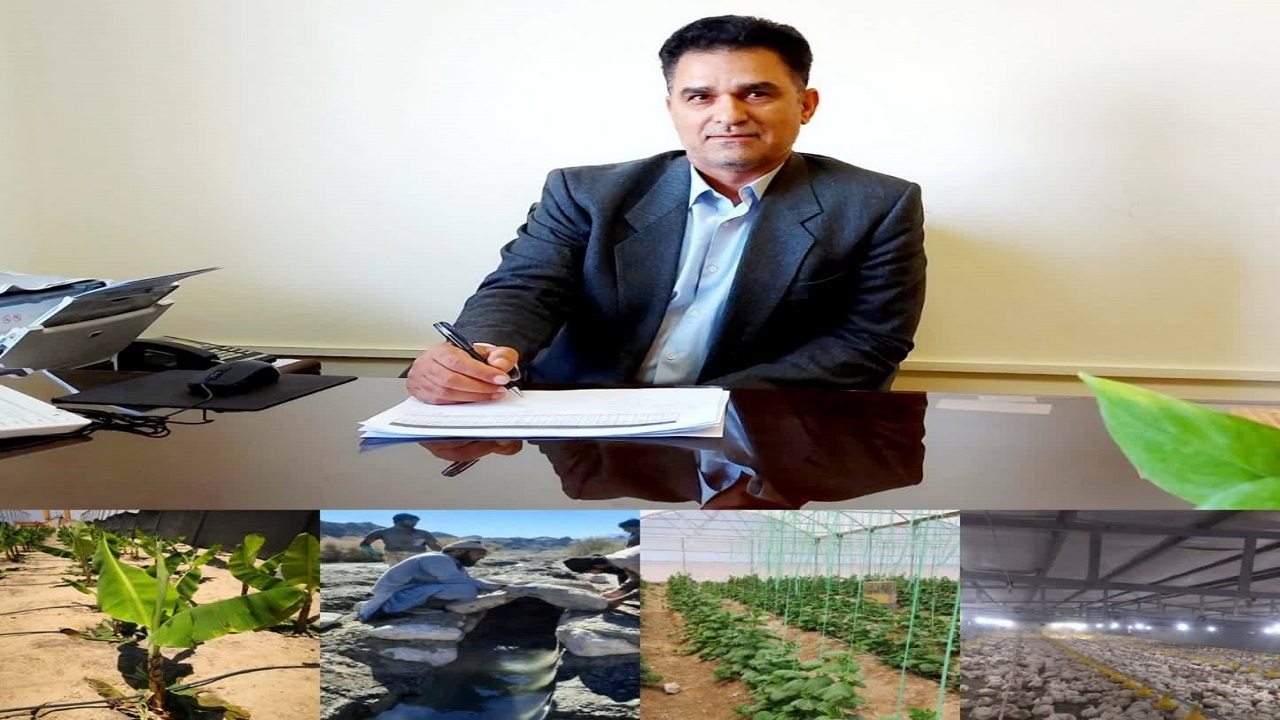 تحقق اشتغال برای ۹۱۹ نفر در زیر بخش‌های کشاورزی سیستان و بلوچستان