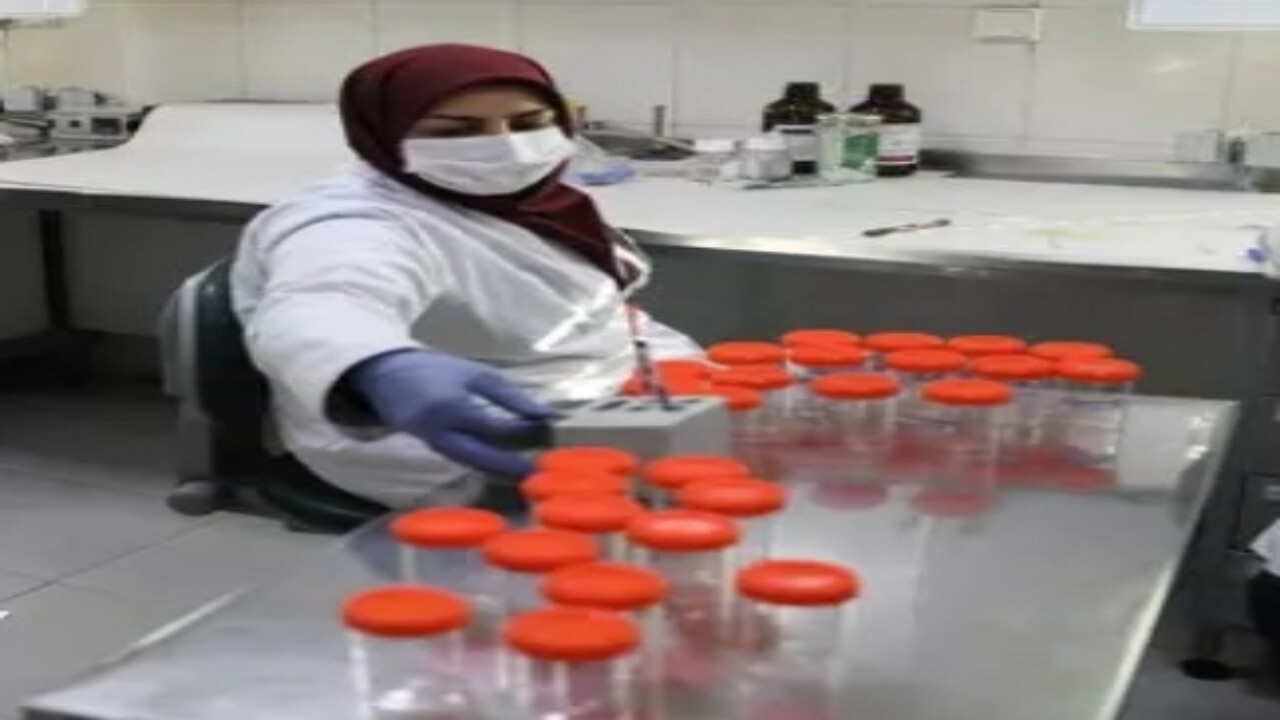 پژوهشگاه رویان رتبه برتر ارائه خدمات گردشگری سلامت بیماران خارجی معرفی شد