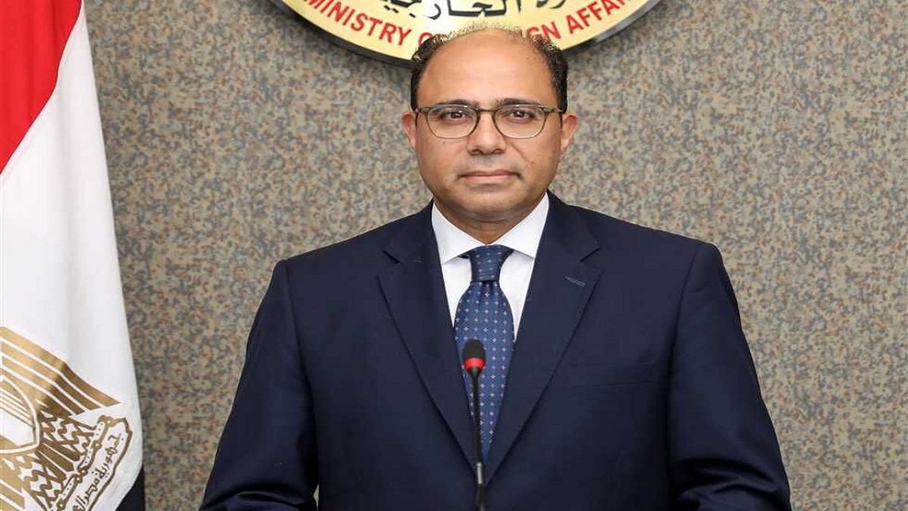 سخنگوی وزارت خارجه مصر از پیشرفت روابط تهران_قاهره گفت