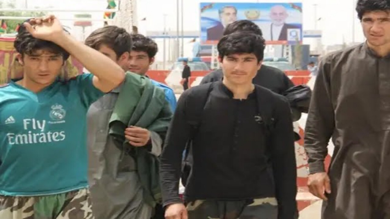 جمع آوری اتباع غیرمجاز در البرز