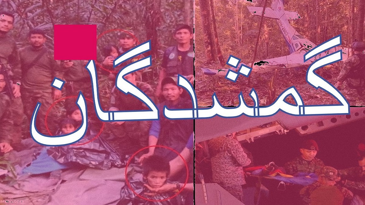 ماجرای عجیب انسان‌هایی که ناپدید و دهه‌ها بعد زنده پیدا شدند