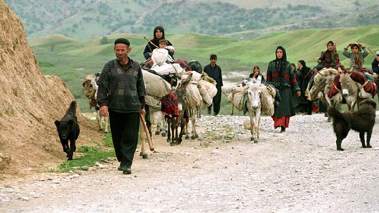 تولید ۲۵ درصد گوشت کشور از سوی عشایر