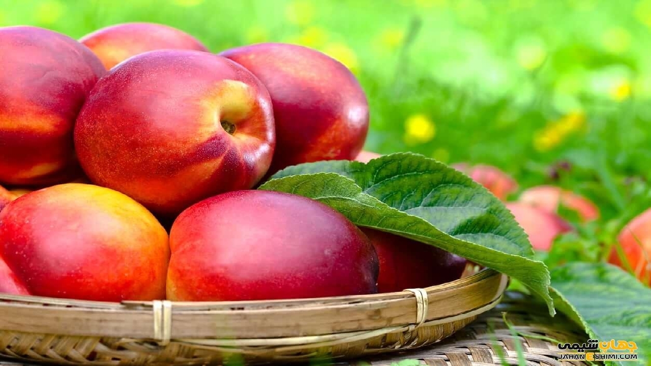 آشنایی با خواص شلیل+ فیلم