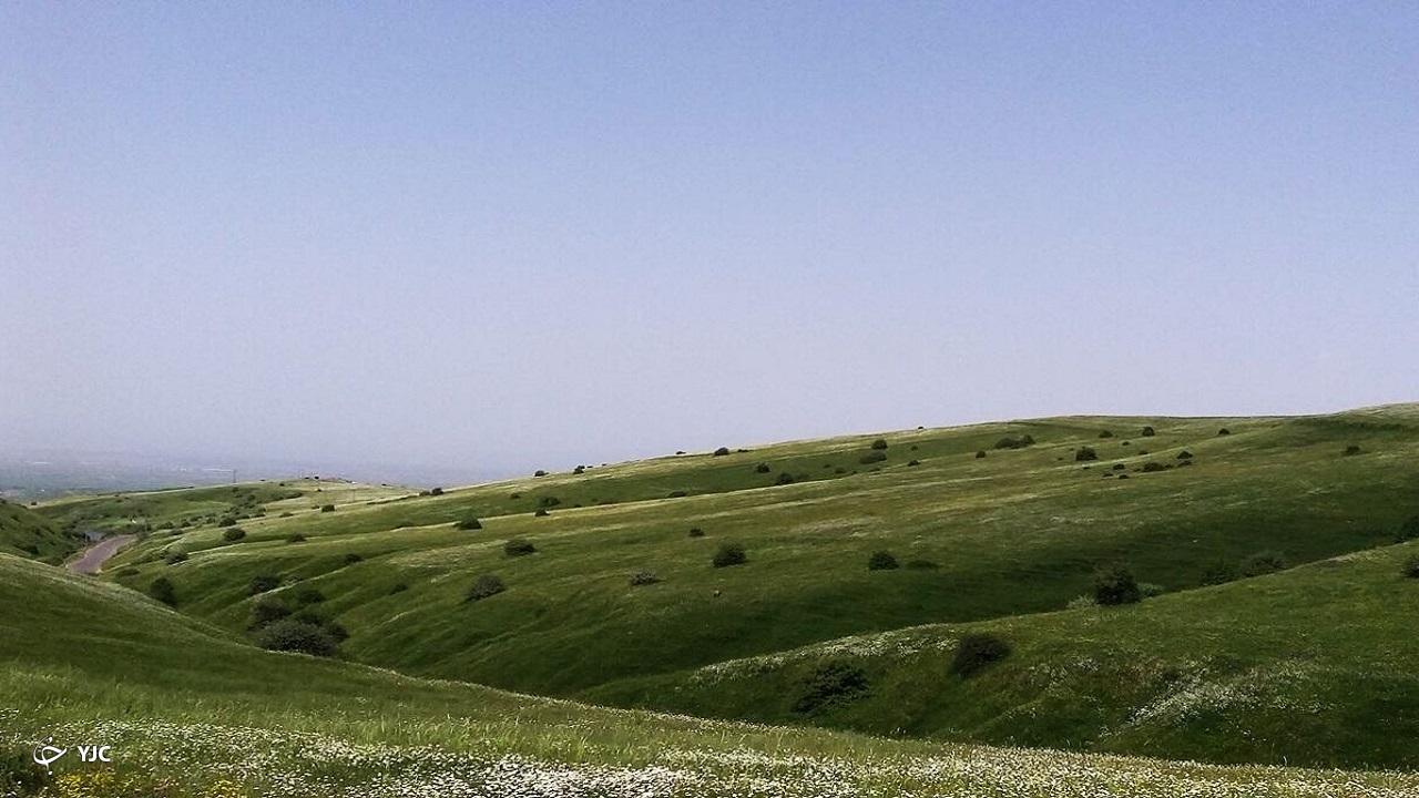۱۷۵ هکتار از منابع طبیعی در مهاباد بازپس گیری شد