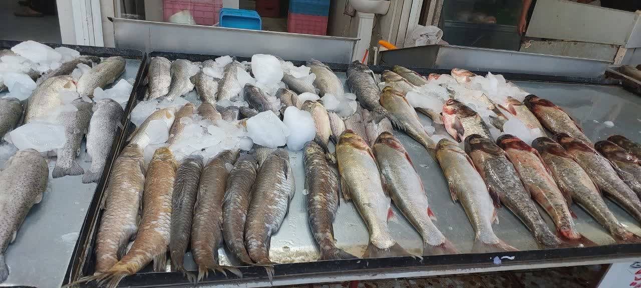 دستگیری فروشنده غیر مجاز ماهیان رودخانه‌ای در دزفول