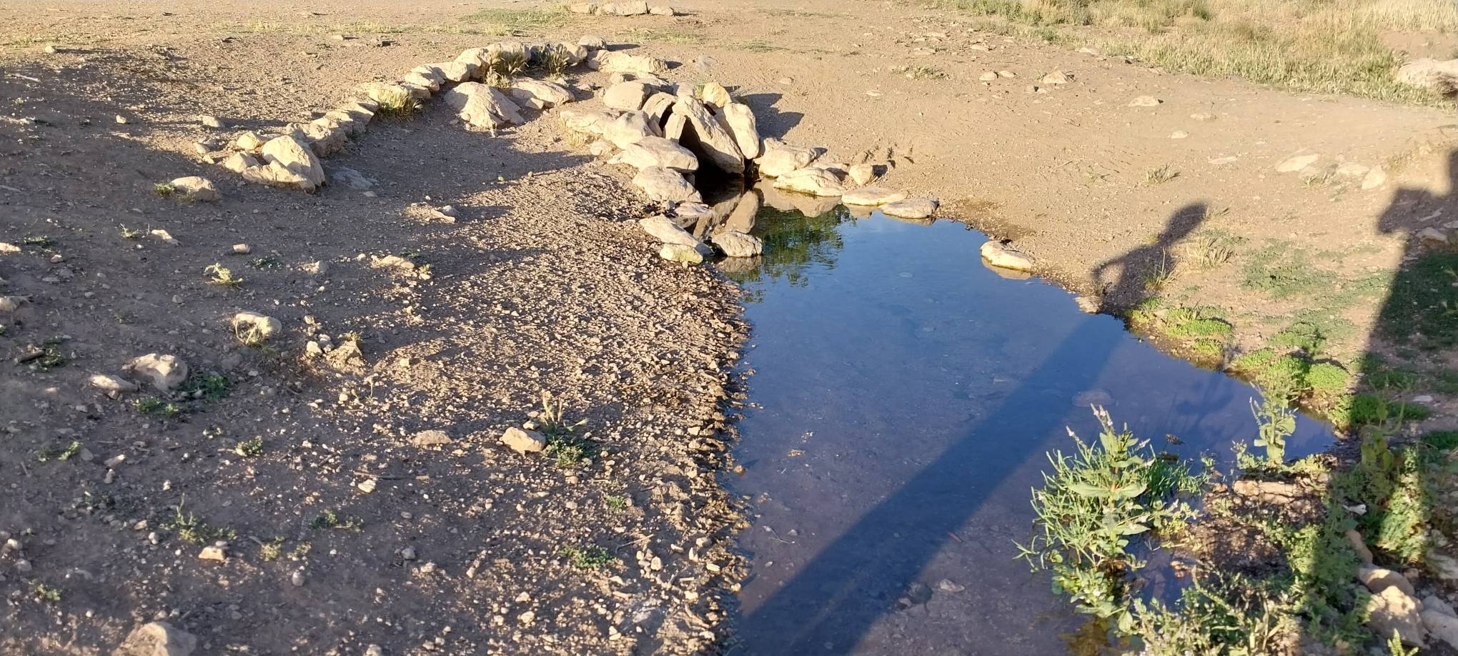 قنات