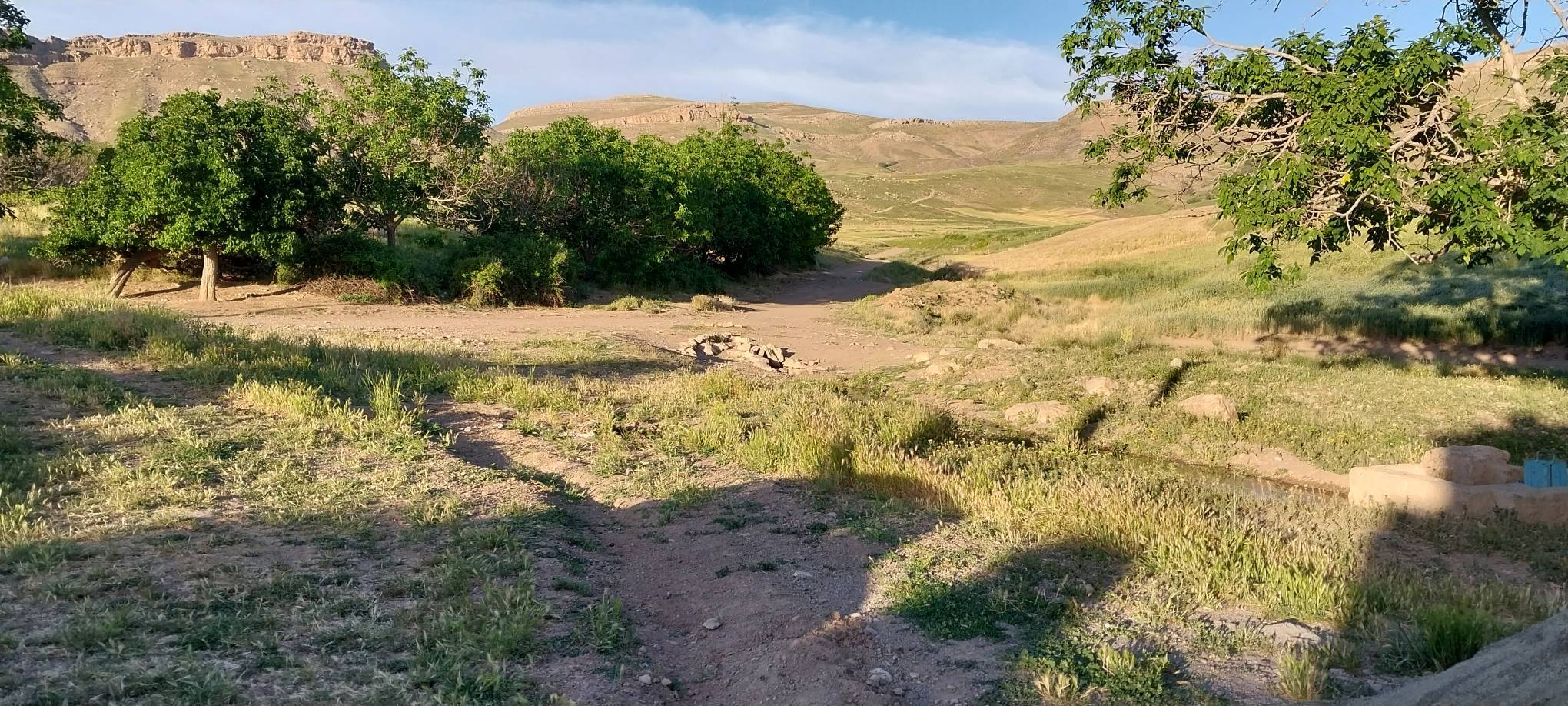 باغات روستایی