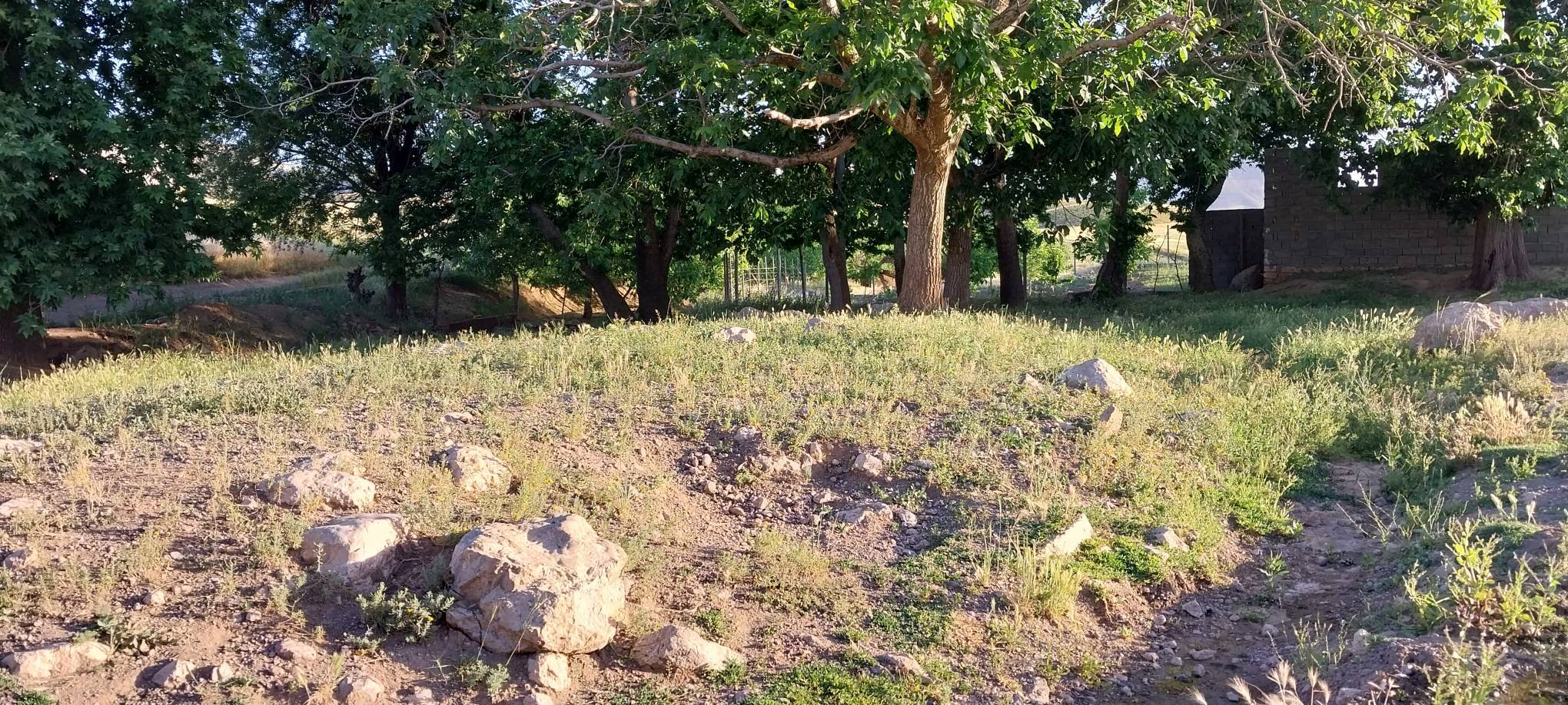 طبیعت روستا