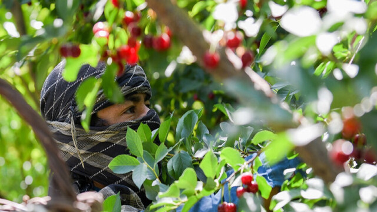 آمادگی پاوه برای مواجهه با تنش آبی