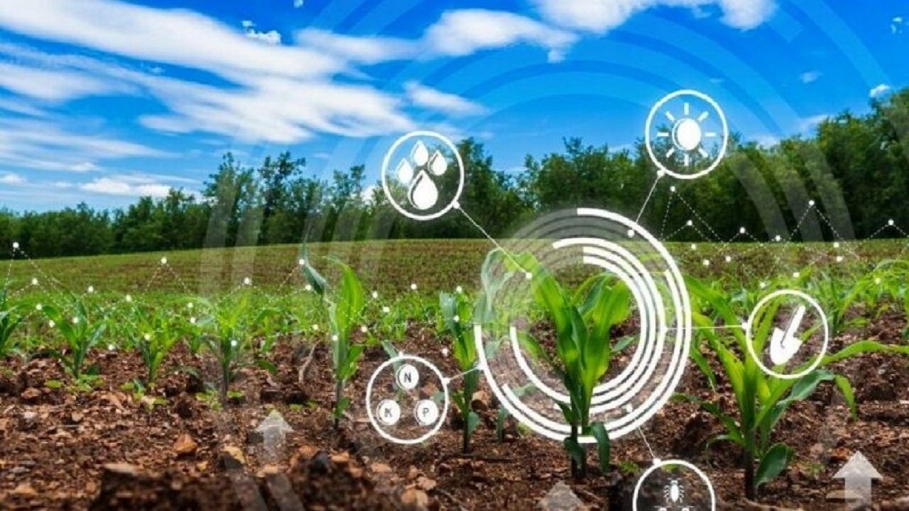 ۲۳۳ اولویت بخش کشاورزی سیستان و بلوچستان برای مشارکت شرکت‌های دانش بنیان معرفی شد