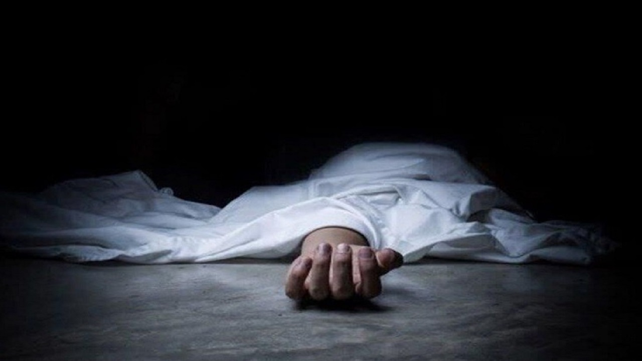 پسرعموی قاتل وحید مرادی به قتل رسید