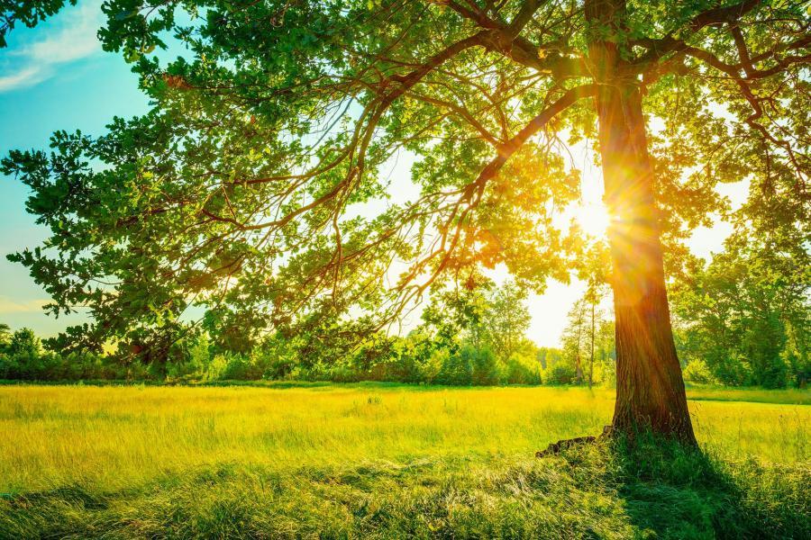 بدرقه تیر و استقبال از مرداد با هوای گرم و شرجی