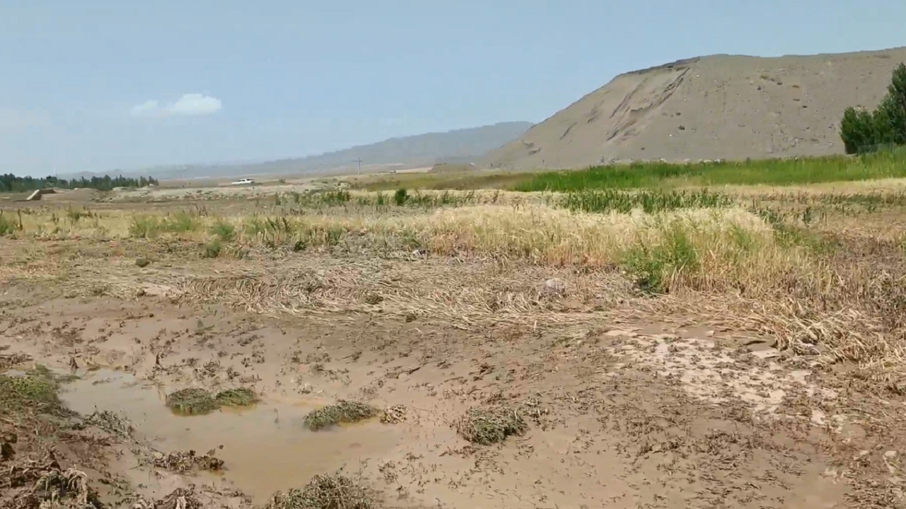 خسارت سیل به اراضی کشاورزی  شهرستان مهربان