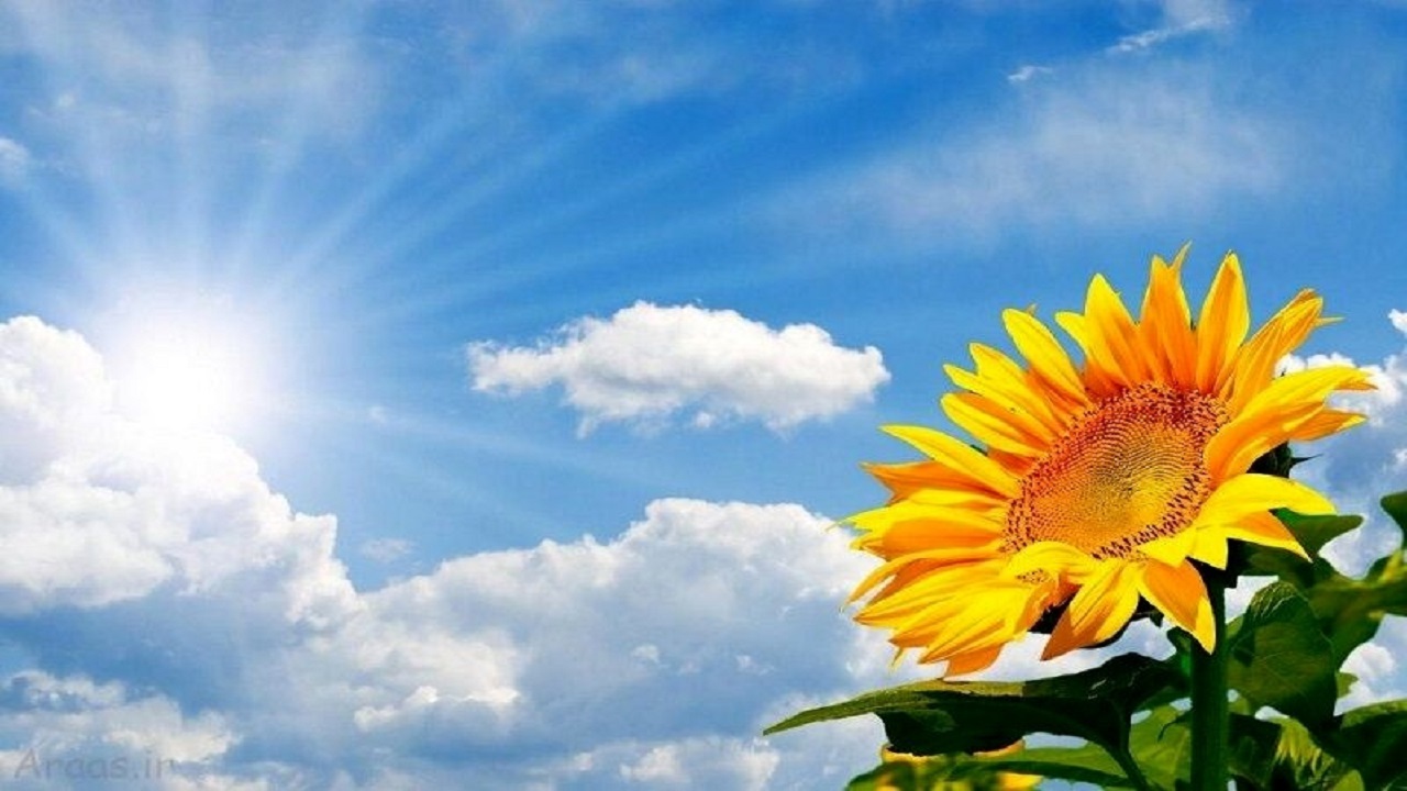 افزایش دمای هوا در همدان 