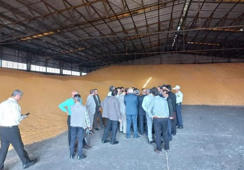 تخلیه کامل انبار ذرت بندر شهیدرجایی + فیلم