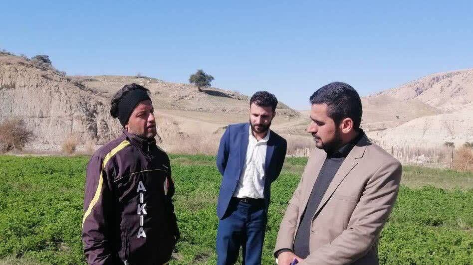 احیای صنعت کشت و آبیاری فشرده در ۵ شهر خوزستان