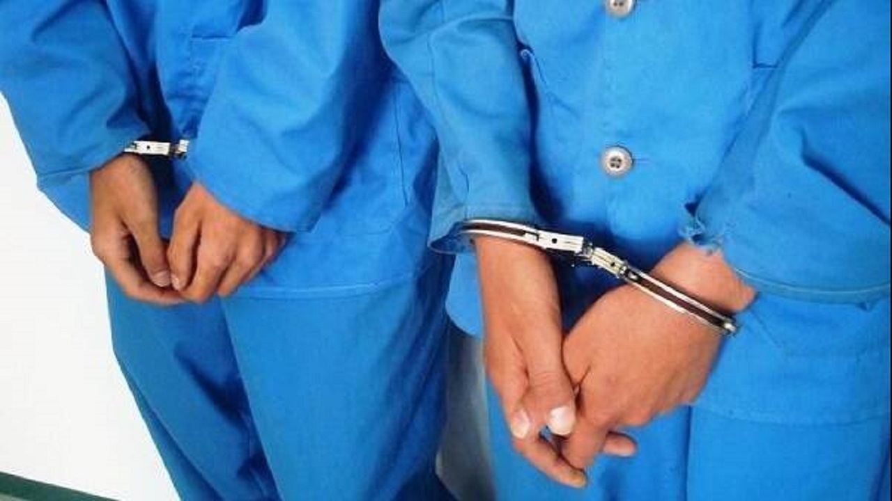 دستگیری عوامل شبکه سازمان‌یافته سودجو نهاده‌های دامی در اردبیل