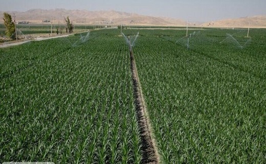 تجهیز پنج هزار هکتار به آبیاری نوین؛ رهاوردی ماندگار در خراسان&zwnj;شمالی