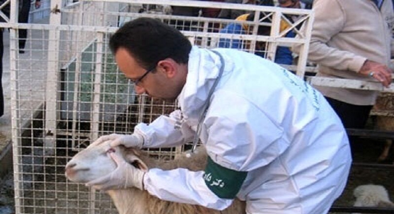 نظارت بیش از ۹۰ گروه بر مراکز ذبح دام در اصفهان