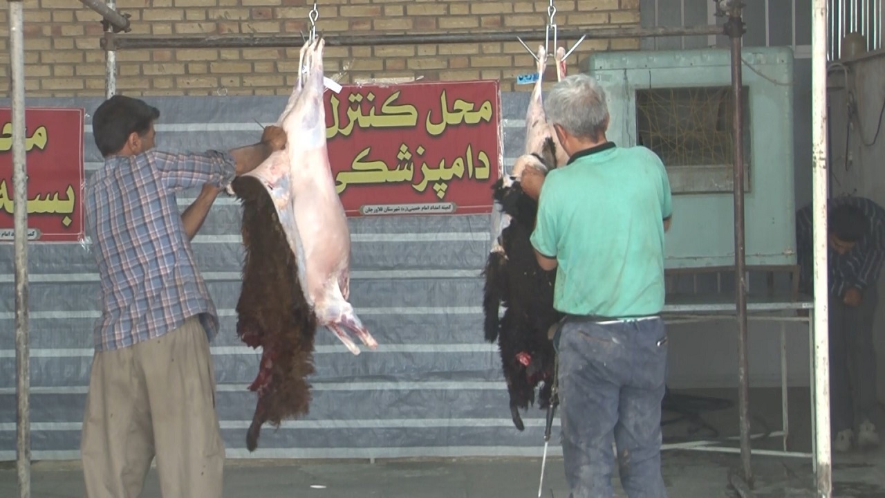 ذبح بیش از ۱۰۰ راس دام سبک در طرح پویش نذر قربانی فلاورجان