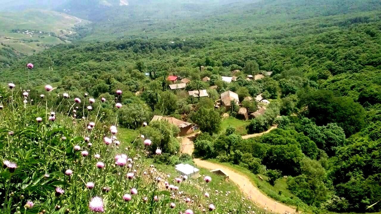 طبیعت سرسبز روستای پرمهر در لنز دوربین شهروندخبرنگار