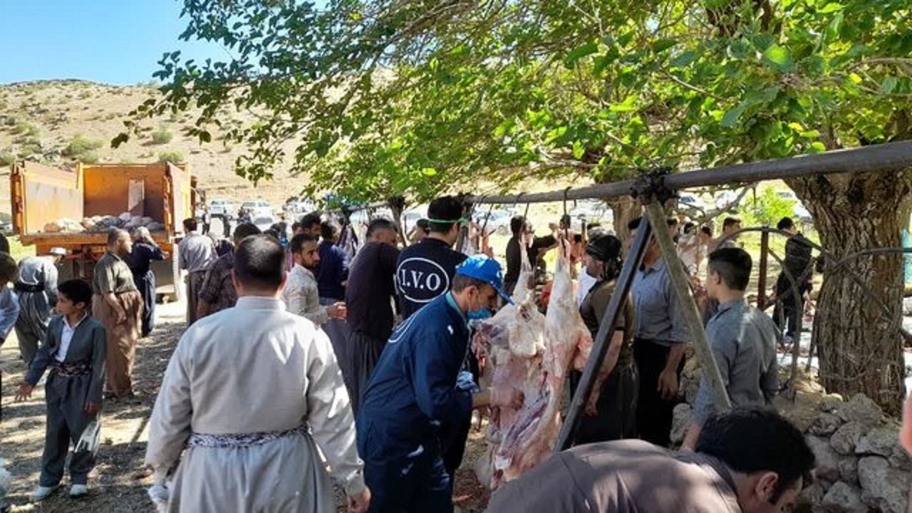 قربانی کردن ۳۸۸ راس دام در آئین بانه وره پاوه