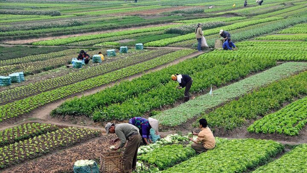 حمایت از زنجیره امنیت غذایی در حوزه آبزی پروری و کشاورزی